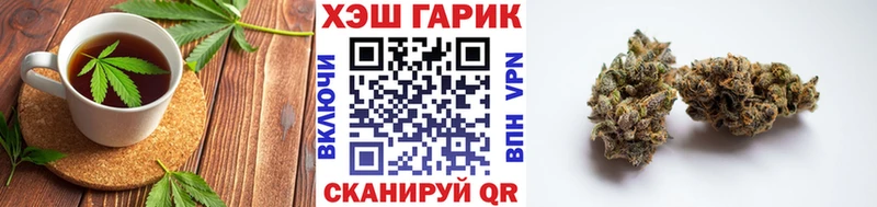 где найти   Будённовск  Canna-Cookies конопля 