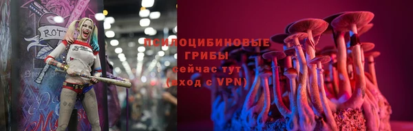 твердый Балахна
