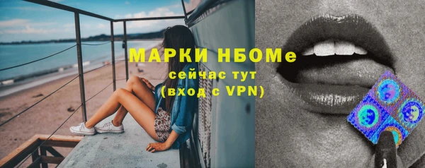 твердый Балахна