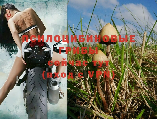ALPHA PVP Баксан